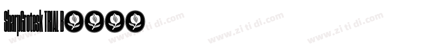 SharpGrotesk TRIAL B字体转换 SharpGrotesk TRIAL B字体转换